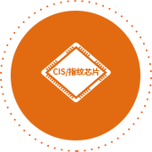 长征娱乐 | 独立电影佳作与破圈之道
